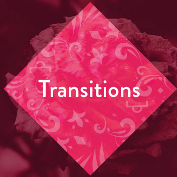 Editors-Toolkit_Playlist-Thumbnails_Transitions