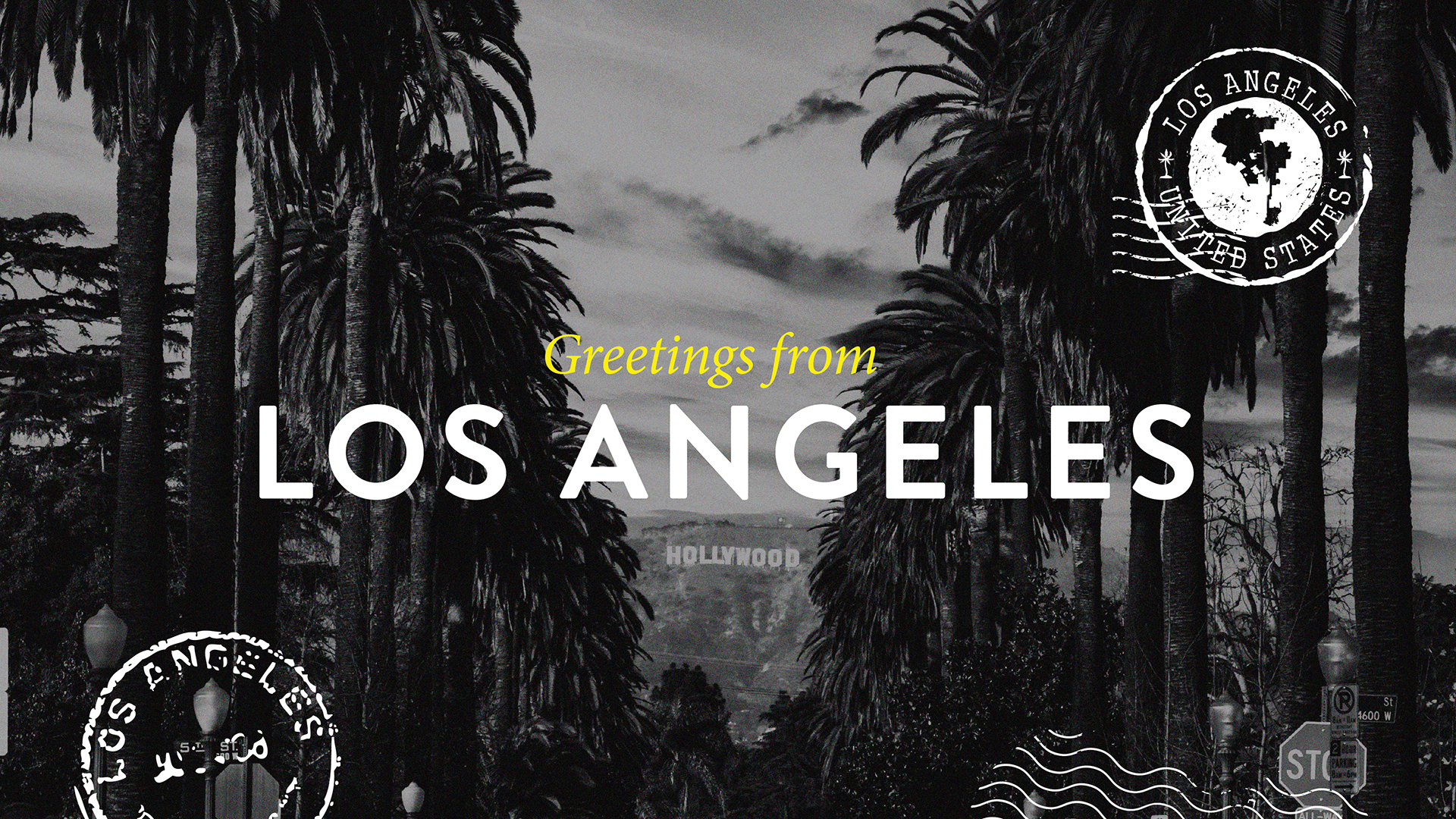 MEET THE TEAM JCP HEADER 2